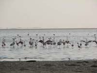 /international/2006Walvisbay/images/Final/thumbnails/final 027.jpg